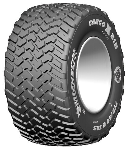 Спецшина Michelin Cargoxbib 600/60R30,5 169D