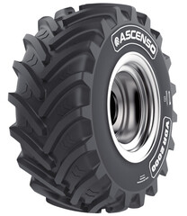Спецшина Ascenso Vdr2000 650/65R34 170D