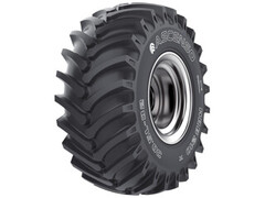 Спецшина Ascenso Hrb210 30.5L-32